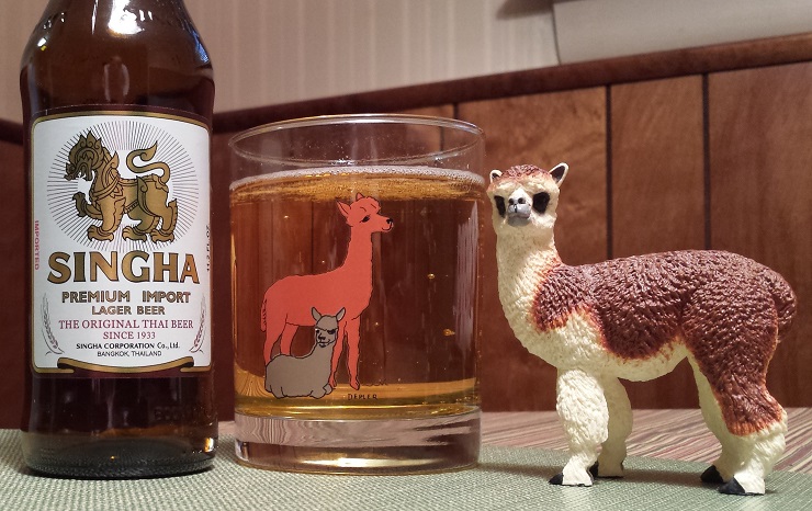 Ruffo the Alpaca enjoying Singha Beer from Thailand