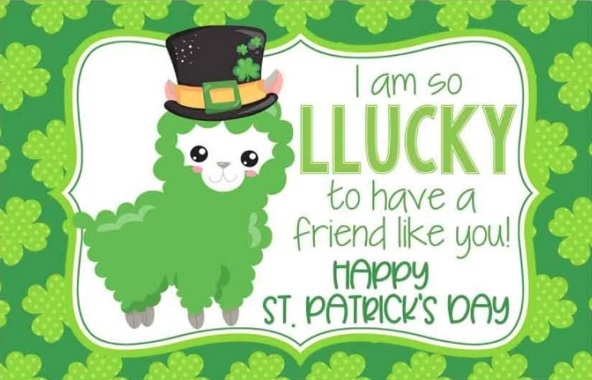 Lucky Llama Saint Patricks Day Postcard