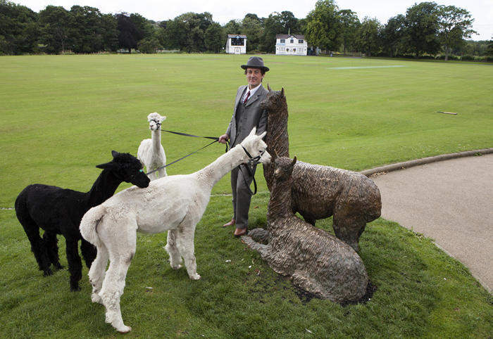 Jamie Roberts with trio of alpacas in front of a bronze statue of alpacas in Saltaire, West Yorkshire