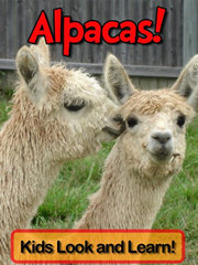 Alpacas - Kids Look and Learn Book written by Becky Wolff