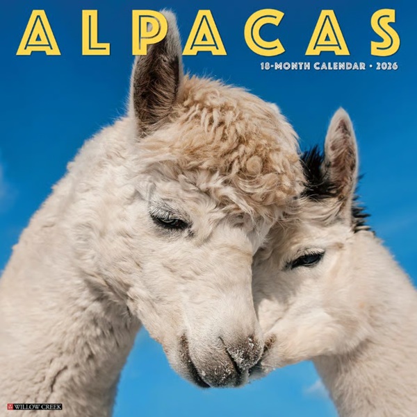Alpacas Wall Calendar 2026 - Willow Creek Press