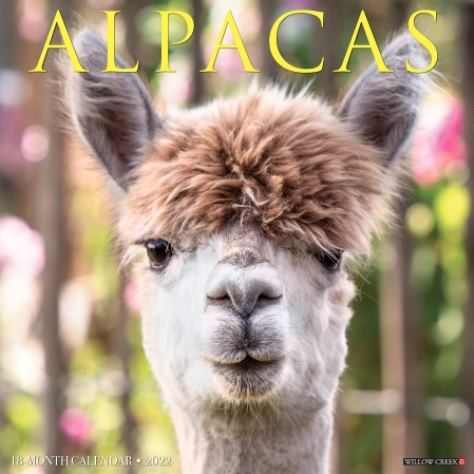 Alpacas Wall Calendar 2022 - Willow Creek Press