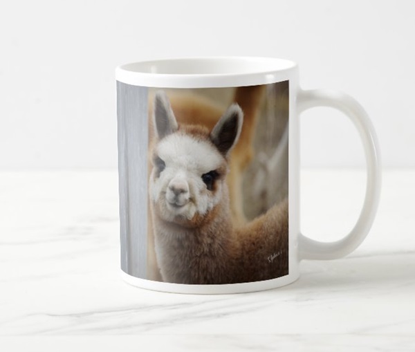 Cute Alpacas Mug for sale by Walnut Creek Alpacas