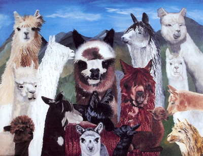 Alpaca Collage Greeting Card by Artist Denise Vachon Miller