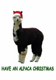 Have an Alpaca Christmas Greeting Card