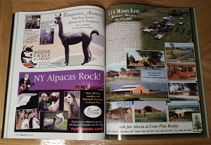Alpacas Magazine Spring 2009 For Sale