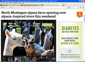 North Muskegon Alpaca farm opening new Alpaca inspired store this weekend
