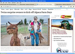 Twins surprise owners to kick off Alpaca Farm Days