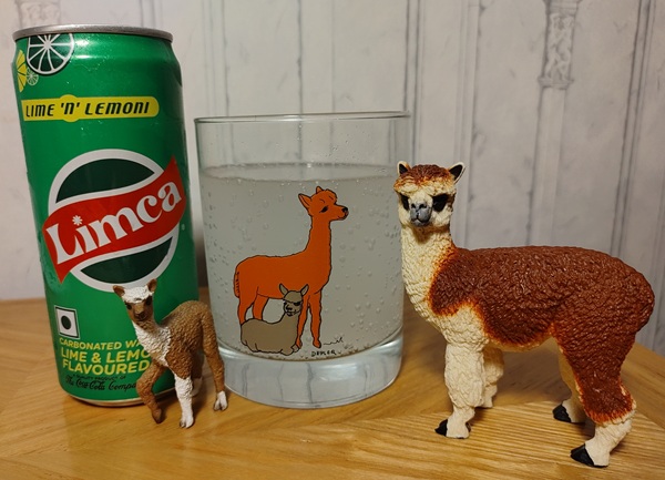 Alpacas love Limca Soft Drink Soda
