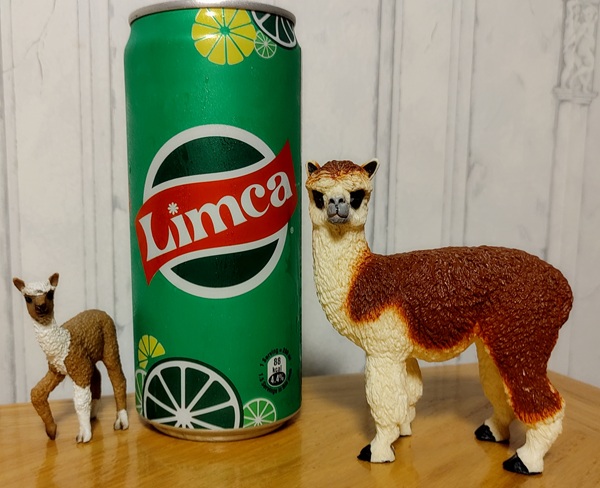 Limca Soft Drink Soda Limca Soft Drink Soda