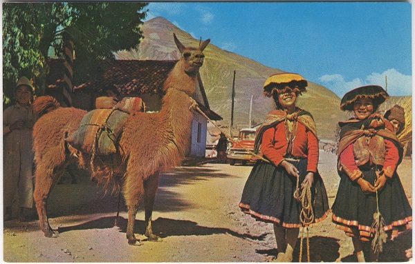 Native Girls with Llama on the way to the Market Postcard